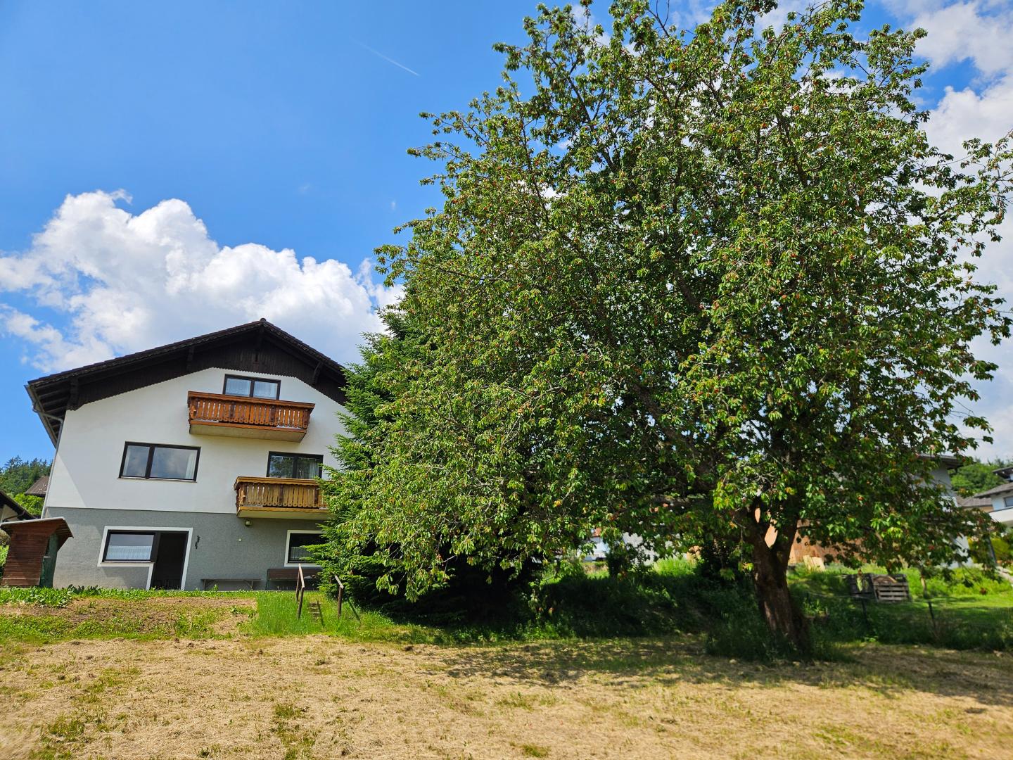 Hausansicht Garten Kirschbaum